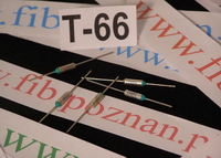 TOPIK 99C 10A